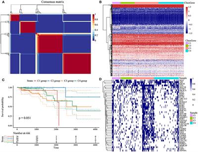 Development and Clinical Validation of a Novel 4-Gene Prognostic Signature Predicting Survival in Colorectal Cancer